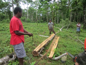 Cutting wood for homes in Rama Territory